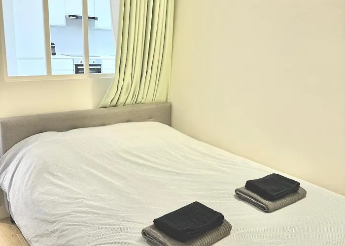 Modern Parisian Flat Quartier Asiatique Choisy Appartement Paris