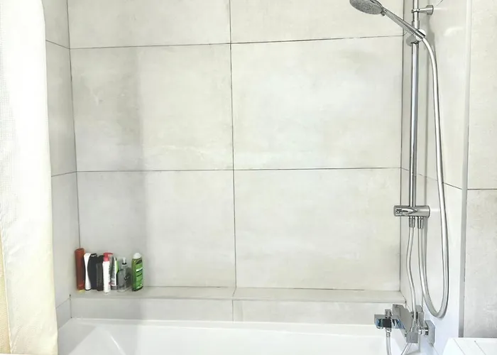 Modern Parisian Flat Quartier Asiatique Choisy Appartement