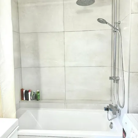 Modern Parisian Flat Quartier Asiatique Choisy Apartment